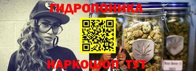 сатива Аргун