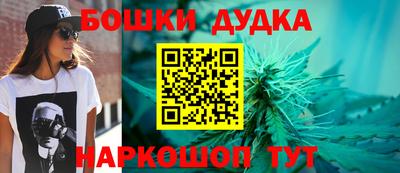 сатива Аргун