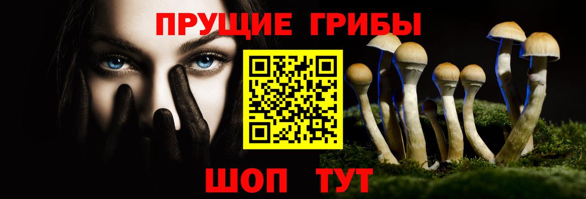 Богородск  Галлюциногенные грибы прущие грибы  Вход с VPN 