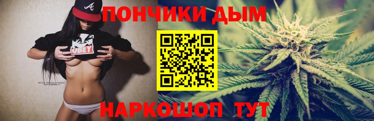 Марихуана семена  Вход с VPN  Богородск  Бошки Шишки конопля  Бошки Шишки White Widow 
